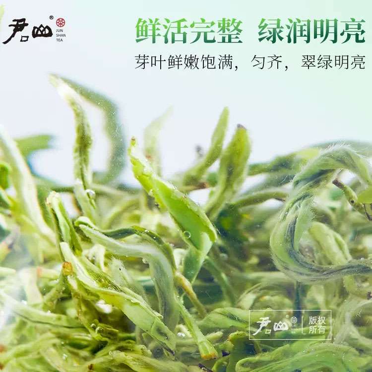 [君山牌] 2023明前新茶湖南特產(chǎn)君山毛尖禮盒裝春茶送禮茶葉綠茶250g盒